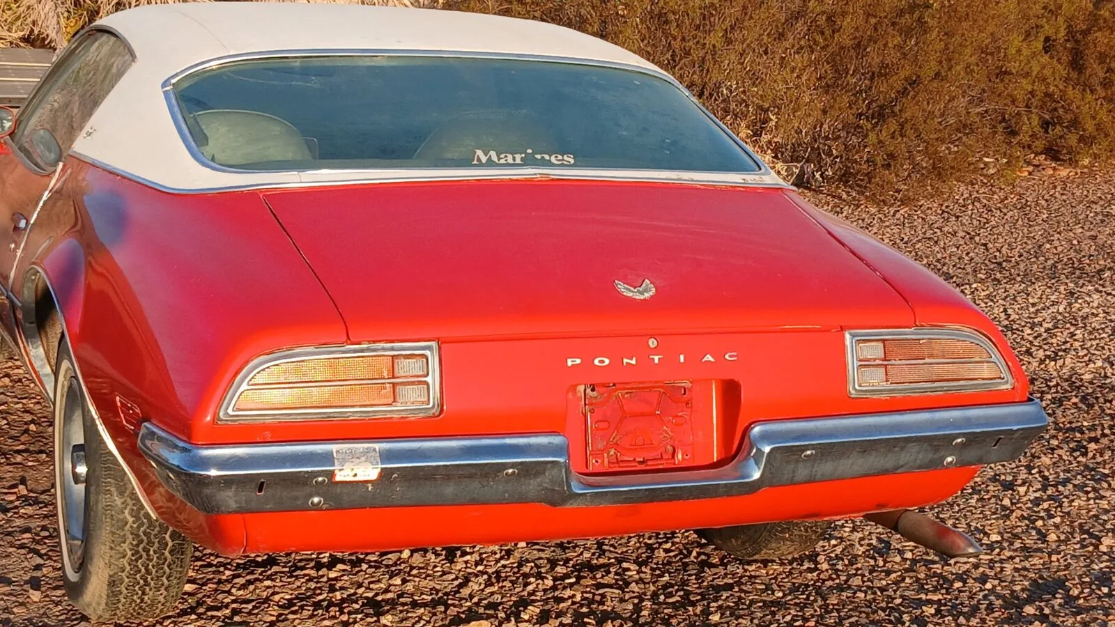 Rear view